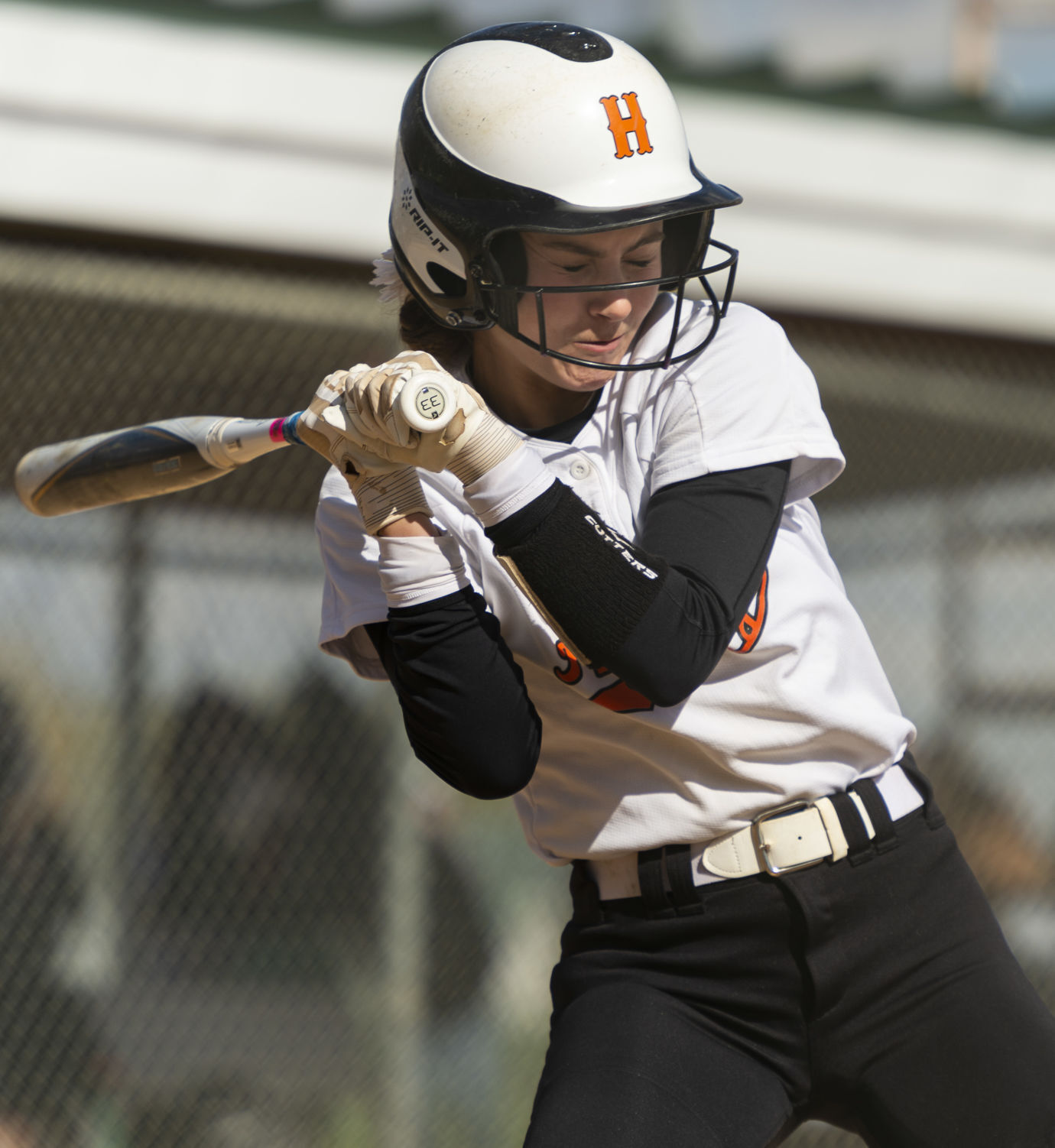 State softball, 10.15
